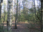 View Photo Gallery
