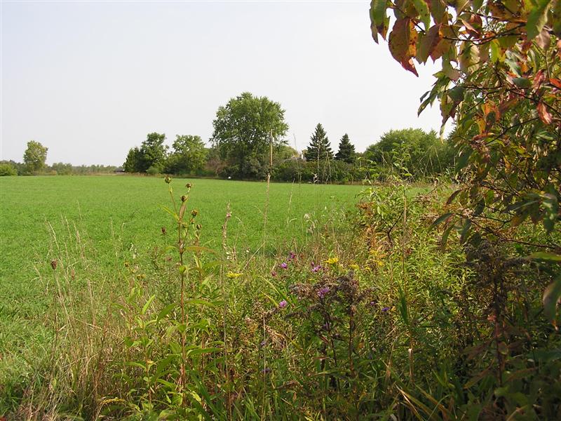 View Photo Gallery